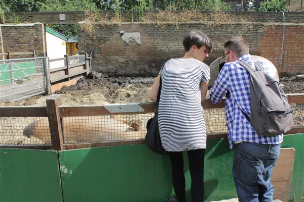 Urban Londoner&amp;rsquo;s enjoy a stroll through the Hackney farm to see where food comes from, or just look at pigs.&amp;nbsp;